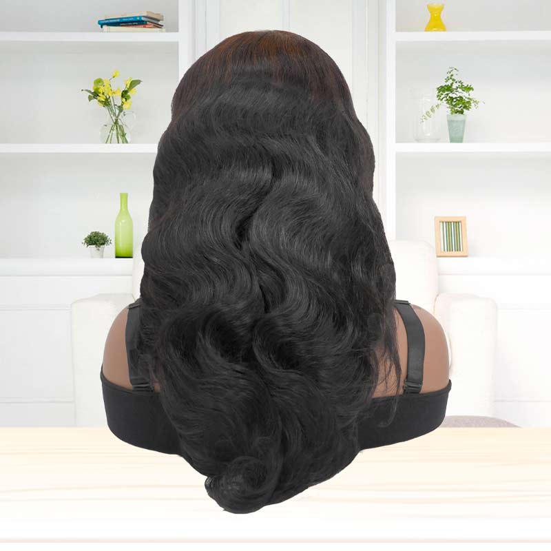 Body Wave Brown on Black Wig 13x4 HD Lace Wigs Human Hair Wig with Baby Hair Pre Plucked