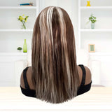 Straight Human Hair Lace Front Wigs Highlight Brown to Grey Brazilian Virgin Hair Pre Plucked